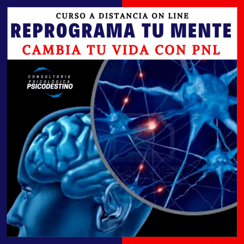 Curso online de PNL
