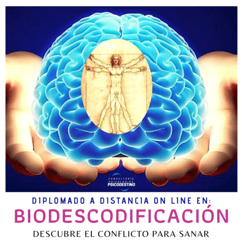 Curso online de biodescodificación