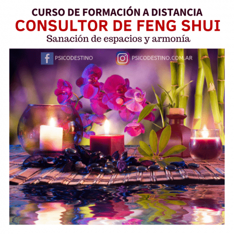 Curso online de consultor de feng shui