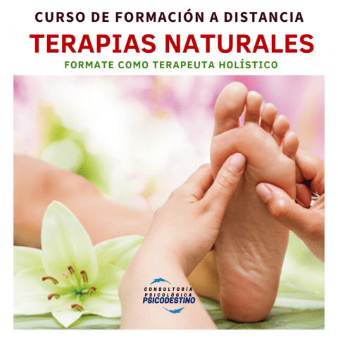 Curso de terapeuta holistico
