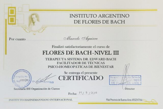 Terapeuta y Facilitador de Técnicas PsicoHomeopáticas Terapeuta y Facilitador de Técnicas PsicoHomeopáticas