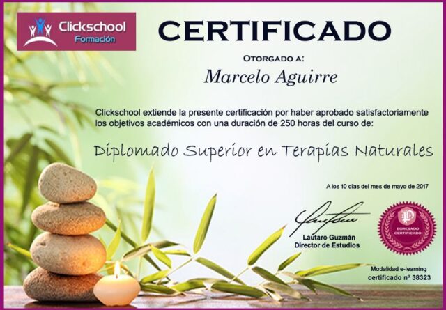 Terapeuta Holístico Terapeuta Holístico