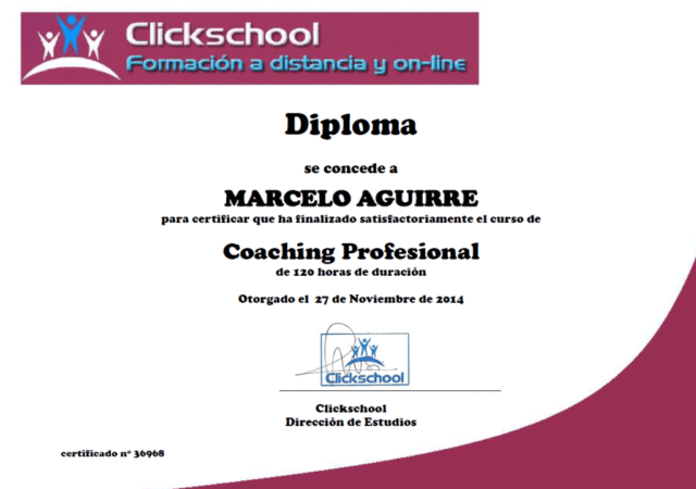 Coach Profesional Coach Profesional