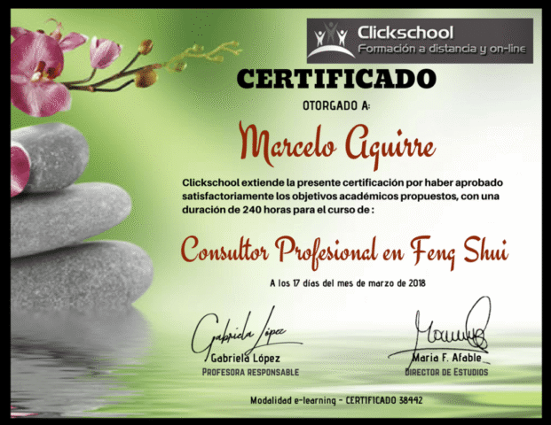 Consultor de Feng Shui Consultor de Feng Shui